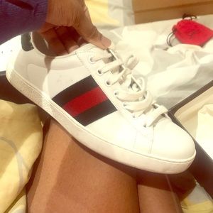 Gucci sneakers